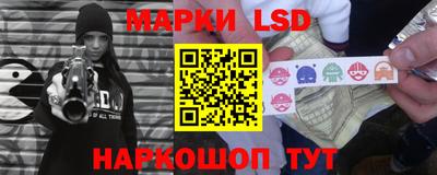дмт Бердск