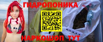 дмт Бердск