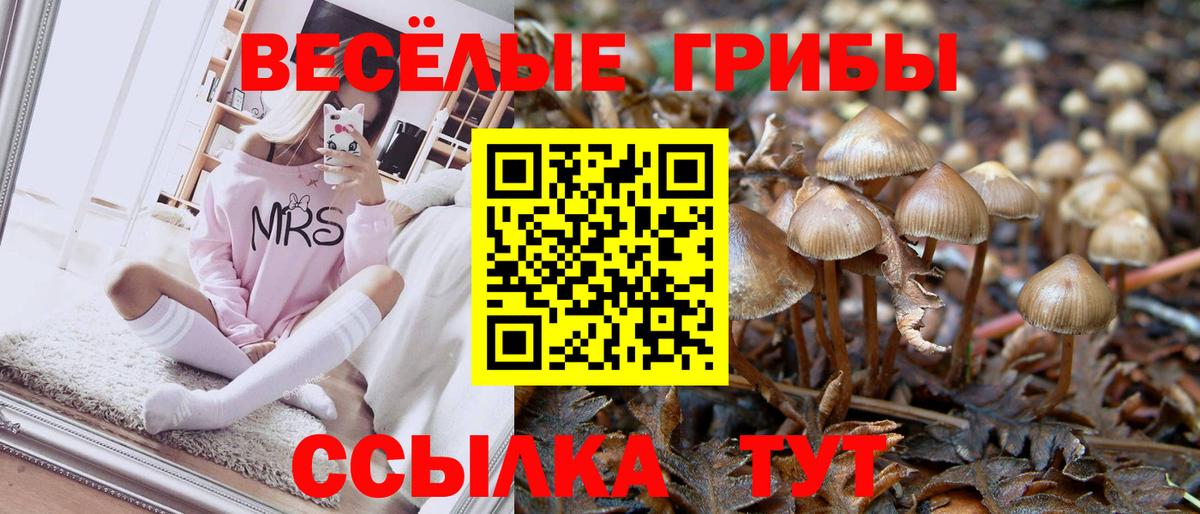 Псилоцибиновые грибы MAGIC MUSHROOMS  Вход с VPN  Галлюциногенные грибы прущие грибы  Вичуга 